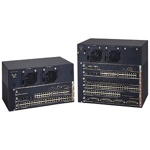 Cat4006.jpg