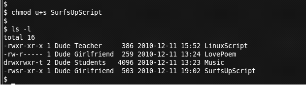 SurfsUpScript.gif
