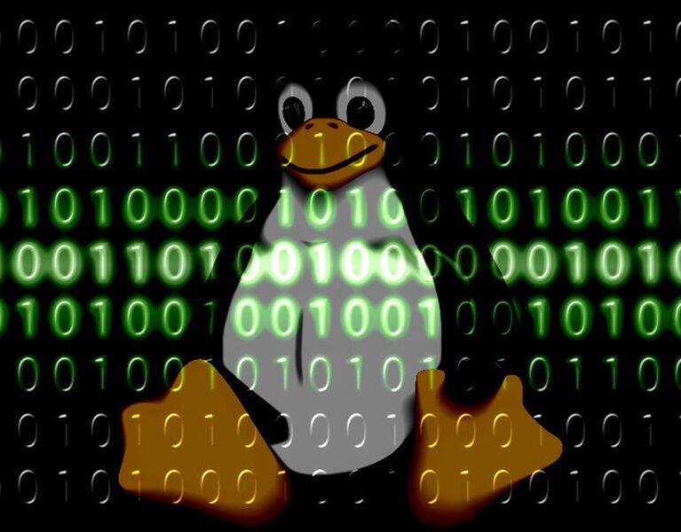 File:Linuxpenguin.jpg