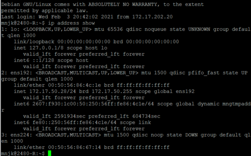 Lab1 ip address show.PNG