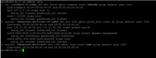 Lab1 ip address show2.PNG