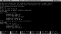 Thumbnail for version as of 09:09, 10 May 2010