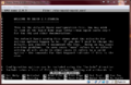 Thumbnail for version as of 01:50, 8 May 2010