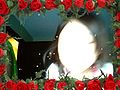 Thumbnail for version as of 02:13, 4 March 2010