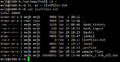 Thumbnail for version as of 02:33, 2 February 2021
